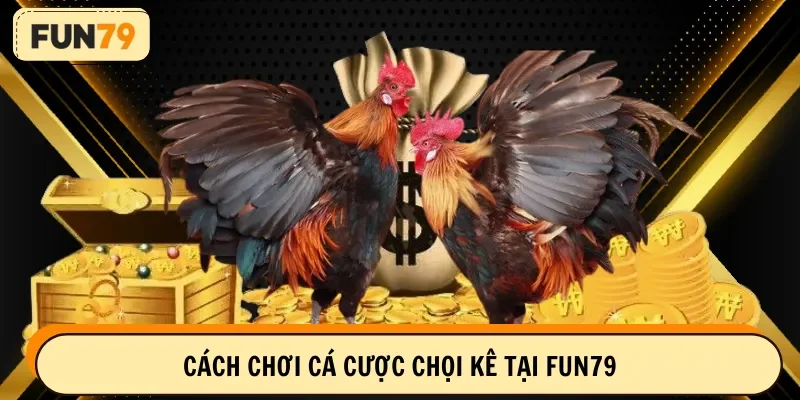 Cách chơi cá cược chọi kê tại Fun79