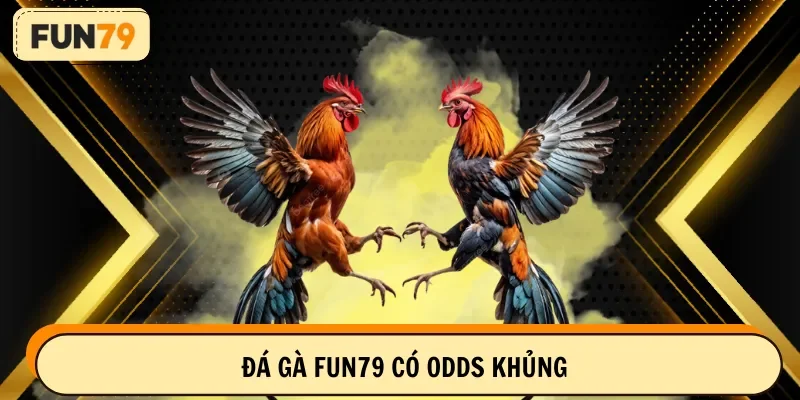 Đá gà FUN79 có odds khủng