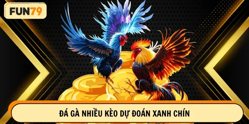 Đá gà nhiều kèo dự đoán xanh chín