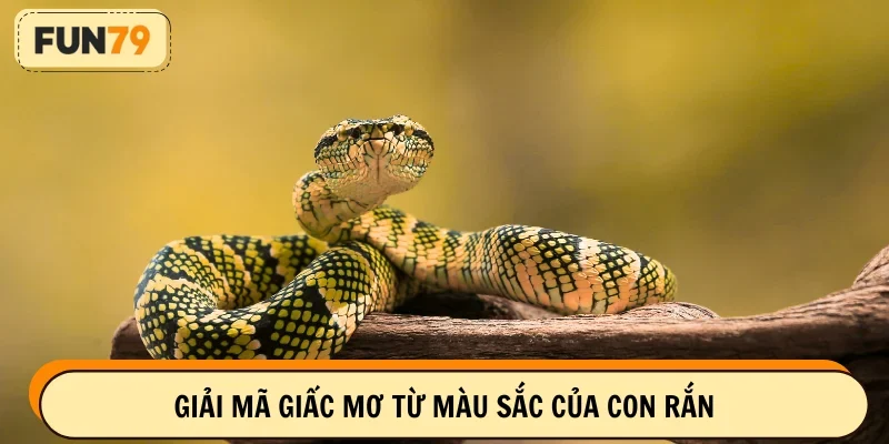 Giải mã dựa vào màu sắc trong giấc chiêm bao