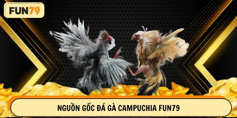 Nguồn gốc đá gà campuchia FUN79
