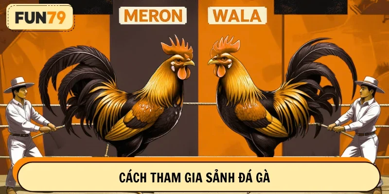 Từng bước tham gia trên sảnh chọi kê
